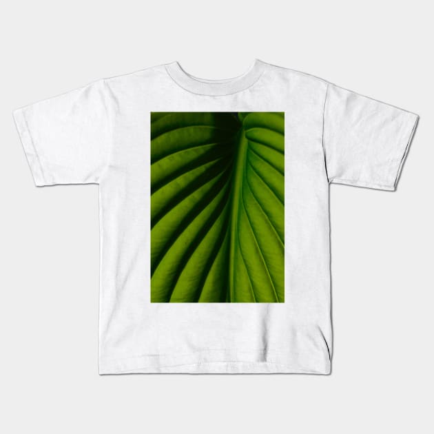 The Veins of Life Kids T-Shirt by aestheticand